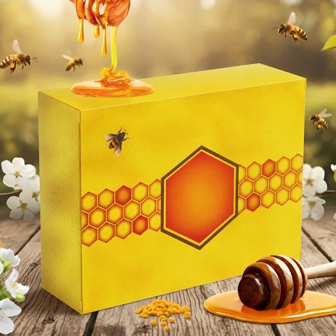 Zoo Med Reptile Crest Gecko Food - Ultra‑Pure Honey with Bee Pollen
