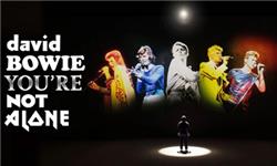 Aquarium Planted Tree - David Bowie: You’re Not Alone
