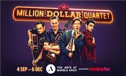 Aquarium Planted Tree - Million Dollar Quartet