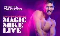 Aquarium Planted Tree - Magic Mike Live!