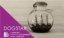 Aquarium Planted Tree - Dogstar