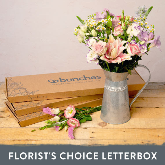 Aquarium Planted Tree - Florist's Choice Letterbox