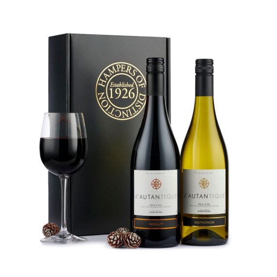 Aquarium Planted Tree - French Wine Duo