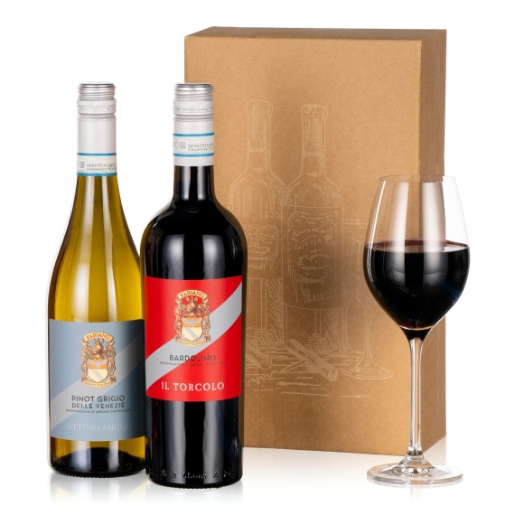 Aquarium Planted Tree - Italian Wine Duo