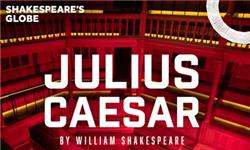 Aquarium Planted Tree - Julius Caesar - Globe