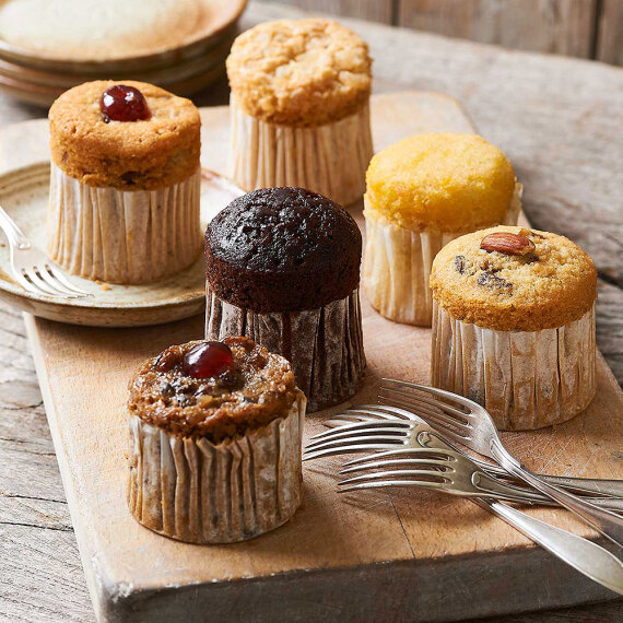 Aquarium Planted Tree - Meg Rivers Mini Cakes in Tin