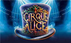 Aquarium Planted Tree - Cirque Alice