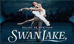 Aquarium Planted Tree - Ballet de Santiago Swan Lake