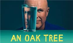 Aquarium Planted Tree - An Oak Tree