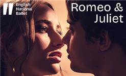 Aquarium Planted Tree - English National Ballet: Romeo and Juliet