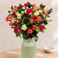 Autumn Warmth Grande - Aquarium Planted Tree review and price