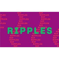 Ripples - Aquarium Planted Tree review and price