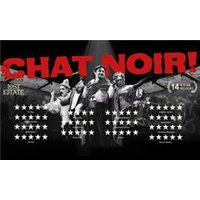 CHAT NOIR - Aquarium Planted Tree review and price