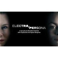 Electra/Persona - Aquarium Planted Tree review and price