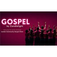 Gospel by Candlelight - Aquarium Planted Tree review and price
