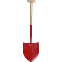 Faithfull Solid Socket Shovel  - Aquarium Planted Tree review and price