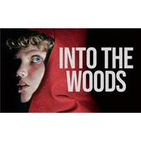 Into The Woods - Aquarium Planted Tree review and price
