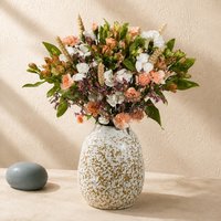 Amber Fields Letterbox - Aquarium Planted Tree review and price