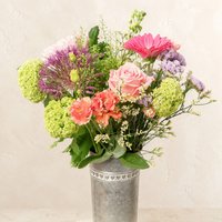 Florist's Choice Chic - Aquarium Planted Tree review and price