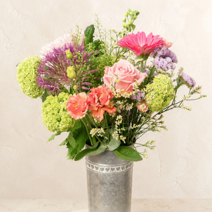 Florist's Choice Chic - Aquarium Planted Tree review and price
