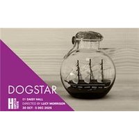 Dogstar - Aquarium Planted Tree review and price