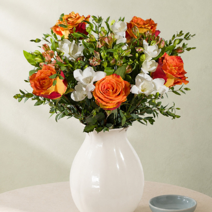Autumn Rose and Freesias - Aquarium Planted Tree review and price