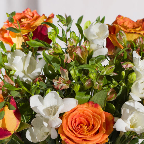 Autumn Rose and Freesias - Aquarium Planted Tree review and price