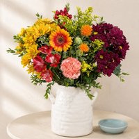 Autumn Sunrise - Aquarium Planted Tree review and price