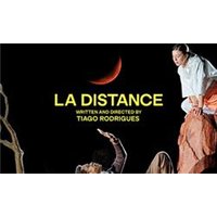 La Distance - Aquarium Planted Tree review and price