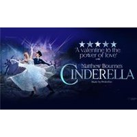 Matthew Bourne's Cinderella - Aquarium Planted Tree review and price