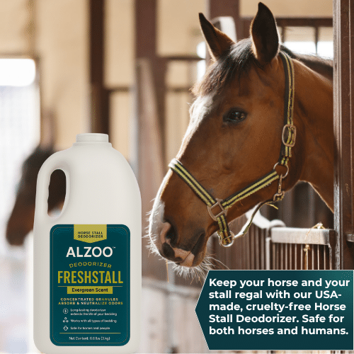 Fresh Horse Stall Deodorizer - Zoo Med Reptile Crest Gecko Food review and price