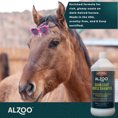 Horse Shampoo for Dark Coats - Zoo Med Reptile Crest Gecko Food review and price