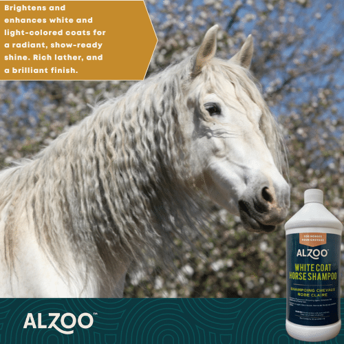 Horse Shampoo for Light Coats - Zoo Med Reptile Crest Gecko Food review and price