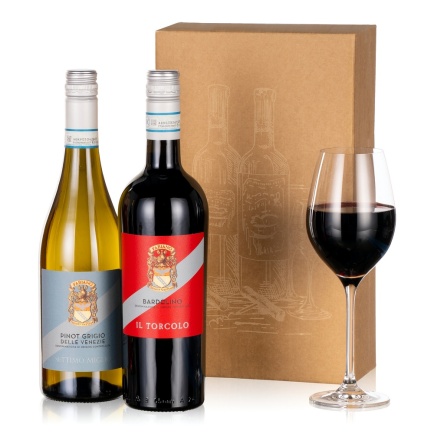 Italian Wine Duo - Aquarium Planted Tree review and price