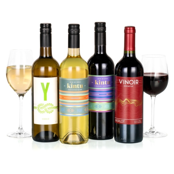 Four Wines in a Box - Aquarium Planted Tree review and price