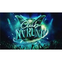 Club NVRLND - Aquarium Planted Tree review and price