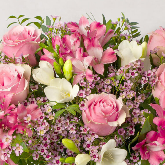 Pink Roses and Freesias - Aquarium Planted Tree review and price