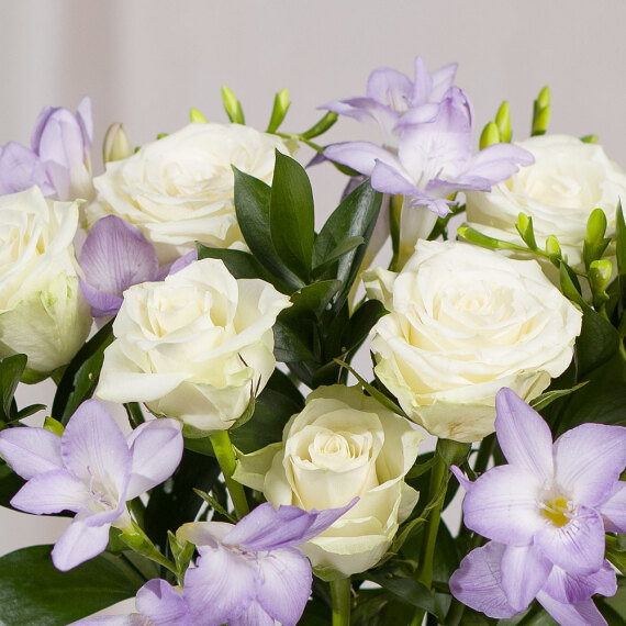 Freesias and Roses - Aquarium Planted Tree review and price