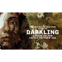Darkling - Aquarium Planted Tree review and price