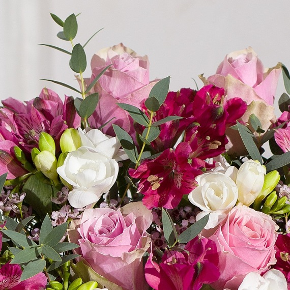 Luxury Roses and Freesias - Aquarium Planted Tree review and price