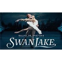 Ballet de Santiago Swan Lake - Aquarium Planted Tree review and price