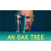 An Oak Tree - Aquarium Planted Tree review and price