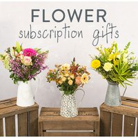 Hand Tied 6 Month Flower Gift - Aquarium Planted Tree review and price