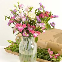 Letterbox Monthly Flower Gift - Aquarium Planted Tree review and price