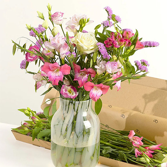 Letterbox Monthly Flower Gift - Aquarium Planted Tree review and price