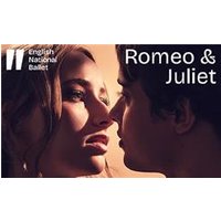 English National Ballet: Romeo - Aquarium Planted Tree review and price